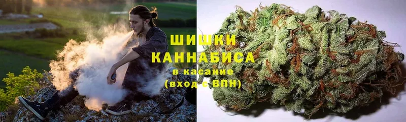 купить  цена  Ржев  Бошки Шишки гибрид 